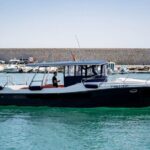 Walk and dolphin watching in Fuengirola + 1 drink - Final Thoughts