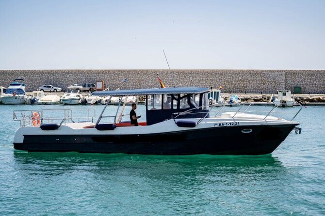 Walk and dolphin watching in Fuengirola + 1 drink - Final Thoughts