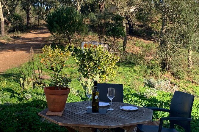 Walk in the Hills with Goat Herder-Local Honey, Wine and Cheese Tasting - Why This Tour Is Worth It
