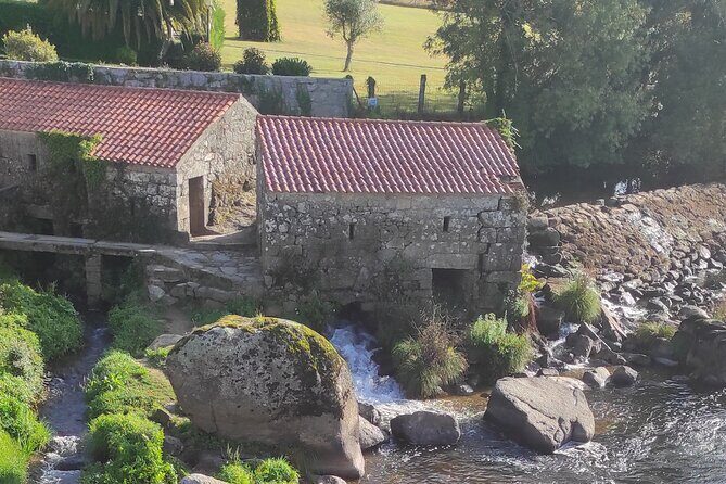 Walk The Camino&Santiago de Compostela Private SHORE Tour - Key Points