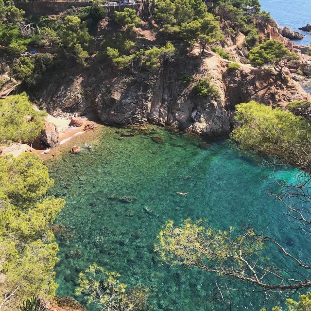 Walking Costa Brava Coves, Beaches & Famous Fishing Village - A Deep Dive into the Costa Brava Coves, Beaches & Fishing Village Tour