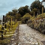 Walking Tour in Montmartre with a guide - A Detailed Breakdown of the Itinerary