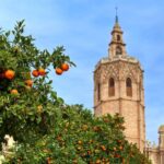 Walking Tour through Valencia's Historic Centre - A Deep Dive into Valencia’s Historic Center
