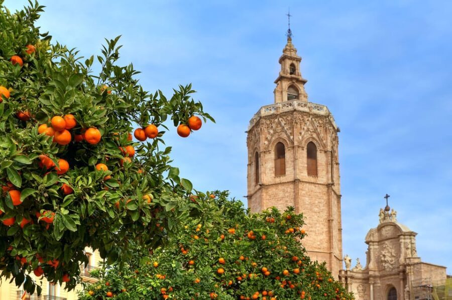 Walking Tour through Valencia's Historic Centre - A Deep Dive into Valencia’s Historic Center