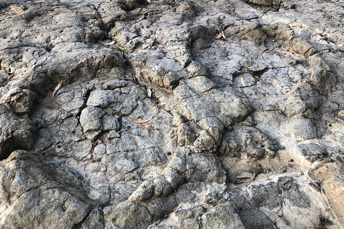 Walking with Dinosaurs along Asturias' coast - Who Should Book This Tour?