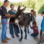 Walks and hikes with donkeys - Who is This Tour Perfect For?