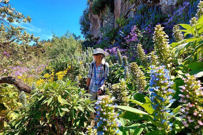 Wanderungen im grünen Gran Canaria - The Itinerary: What to Expect