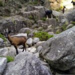 Waterfalls, Heritage and Nature in Gerês Park - from Porto - The Practical Side: Transportation & Cost