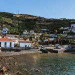 West Madeira Island Guided Tour & Fanal Mystic Forest - Final Thoughts