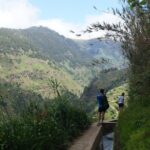 Wet your hair in the amazing Moinhos/Nova Levada - Exploring the Moinhos/Nova Levada: A detailed journey