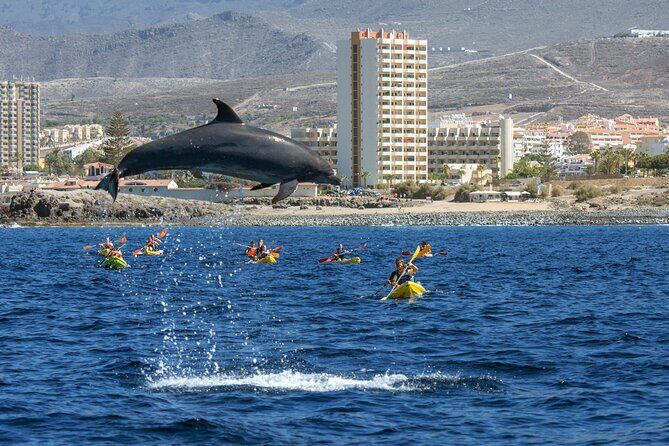 Whale and Dolphin Watching EcoAdventure in Tenerife - Exploring the Whale and Dolphin Watching EcoAdventure