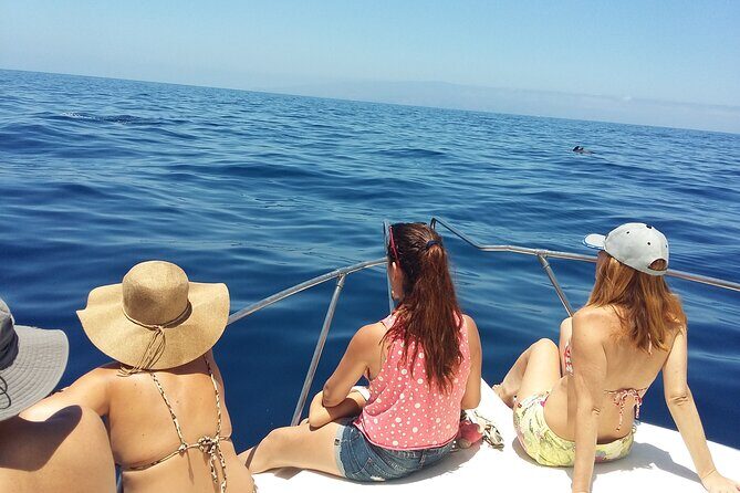 Whale and dolphin watching tour Los Gigantes and Masca in small groups - The Experience in Detail