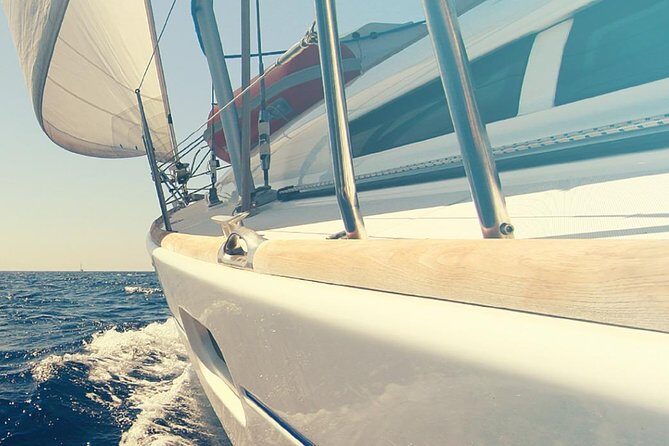Whale and Dolphin Watching Yacht Trip in Puerto Colon - Authentic Encounters and Real Reviews