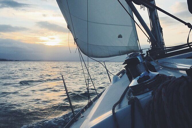Whale & Dolphin Watching Boat Trip in Tenerife On a Sailing Boat (3 Hr) - Who Is This Tour Best For?