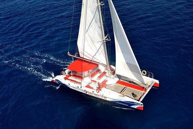 Whale watching and listening Eco-Catamaran Tour with Food Tasting - Final Thoughts: Who Will Love This Tour?
