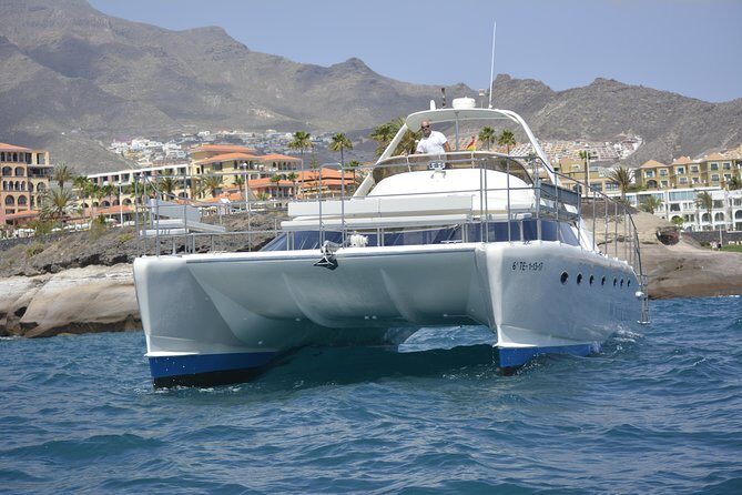 Whale Watching Catamaran Cruise with Transfer, Buffet by MC - Final Thoughts