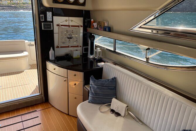 Whales and Dolphins excursion on a Luxury Yacht in Canary Islands - Who Should Consider This Tour?