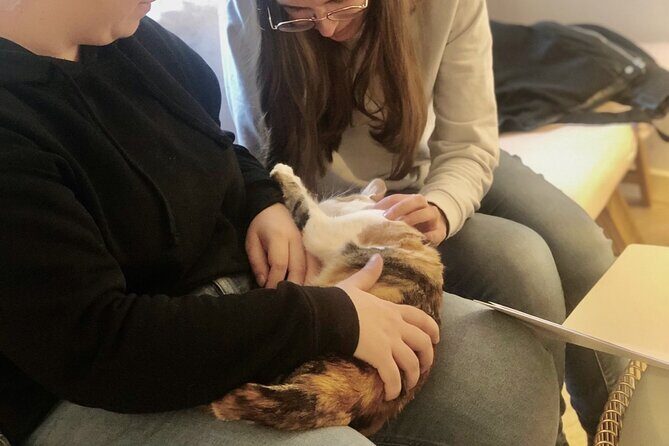 Whiskers & Coffee: Relax and Play with Adorable Cats - Who Should Consider Visiting?
