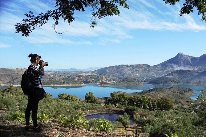 White Villages and Ronda Day Tour from Seville - Practical Details & Tips
