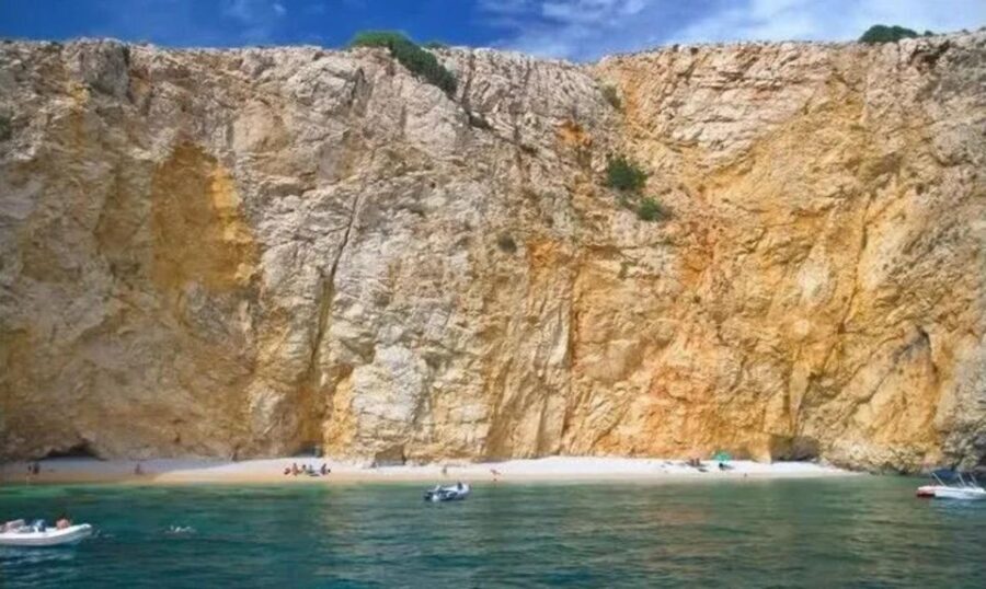 Wild Bays: Swimming and Snorkeling with Capt. Bobo (Private)