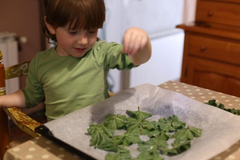 Wild experience: discover, cook & eat the local wild flora - The Experience in Detail