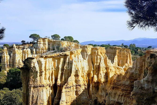Wild Organs: Grand Landscape, Plants, Geology, Birdsongs - The Value of This Experience