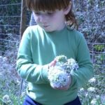 Wild walk: discover the local wild flora - Why This Tour Is Worth Considering