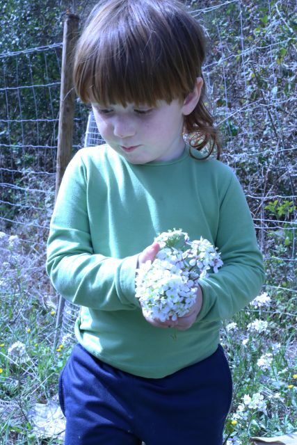 Wild walk: discover the local wild flora - Why This Tour Is Worth Considering