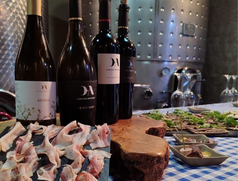 Wine and Food Pairing Tasting Las dos Antiguas- Bodega Artesanal Segovia - The Tasting: More Than Just Sipping