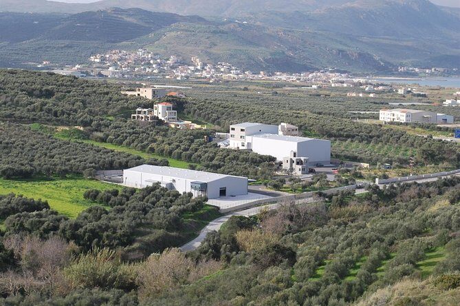 Wine, Beer, Olive Oil Tasting Private Tour (price per group of 6) - Why This Tour Is Worth It