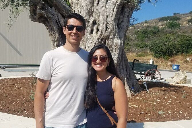 Wine, Olive Oil, and Honey Tour with Winemaker - A Feast for the Senses: The Farm-to-Fork Lunch