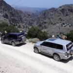 Wine & Olive Oil Tour with Lunch - Semi Private Safari Tour - Authenticity, Quality, and Value
