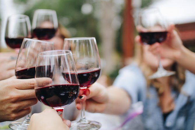 Wine, Tapas & Lake Zahara by e-bike incl Ronda pickup (full day) - Who Will Love This Tour?