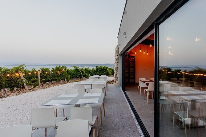Wine Tasting and Food Pairing - Where Zinfandel Was Born - Who Should Consider This Tour?