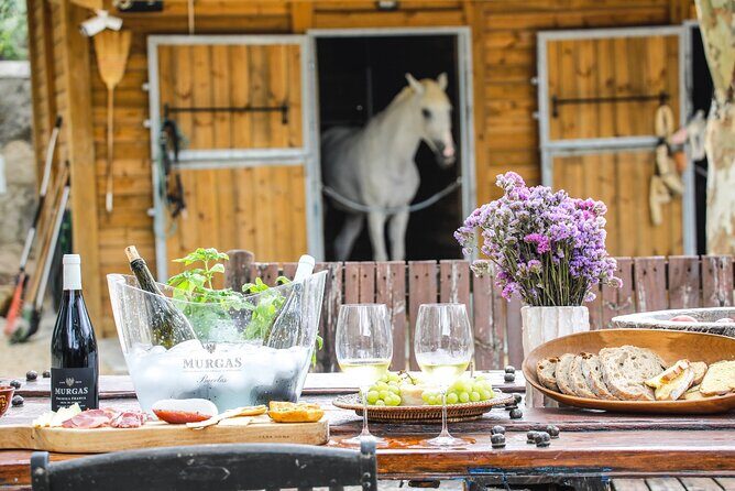 Wine tasting at Quinta das Murgas - Who Will Love This Experience?
