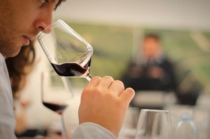 Wine Tasting Experience at the organic winery in ian