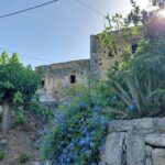 Wine Tasting: Meet the Cretan Vineyard at West Chania - The Sum Up: Who Will Love This Tour?