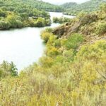 Wine Tasting & Tapas 4x4 Tours - Why This Tour Stands Out