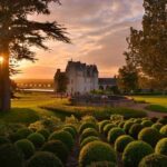 Wine tasting tour in Loire Valley with castle visits and lunch - Why This Tour Works for You