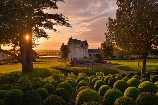 Wine tasting tour in Loire Valley with castle visits and lunch - Why This Tour Works for You