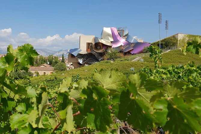 Wine Tour: 2 Wineries From Logroño - The Itinerary in Detail