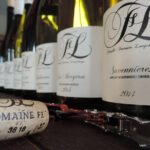 Wine tour and tasting at domain FL - The Sum Up