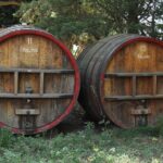 Wine Tour Bandol & Cassis from Marseille - Final Thoughts