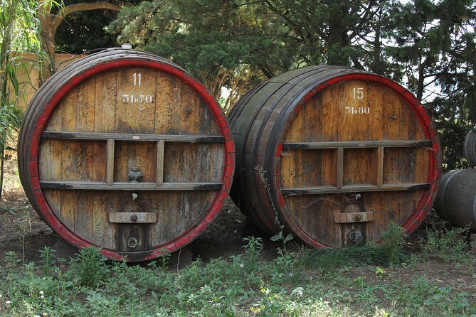 Wine Tour Bandol & Cassis from Marseille - Final Thoughts