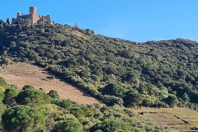 Wine Tour in Roussillon: Picnic & Tasting Day - A Complete Look at the Roussillon Wine Tour