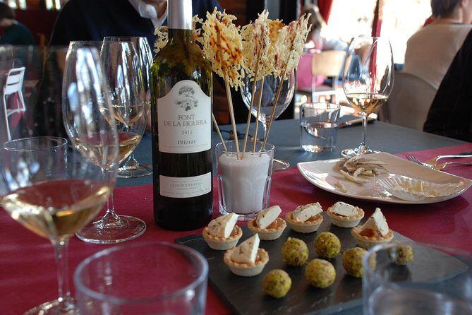 WINE TOUR PRIORAT: Visit 2 Top Wineries, Wine Tasting & Gourmet Lunch - Who Is This Tour Best For?