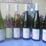 Winemaker's aperitif with Wine Tour and Wine Tasting - Authenticity and Value
