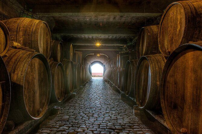 Winery Tour and Tasting in Tenerife with the Sommelier - Who Is This Tour Best For?