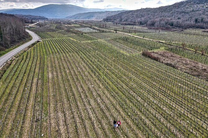 Winery Tour and Tasting with the Sommelier in KRK - What You’ll Get Out of It