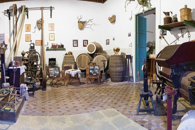 Winery Tour, Wine Museum, and Tasting in Gran Canaria - Who Would Enjoy This Tour?